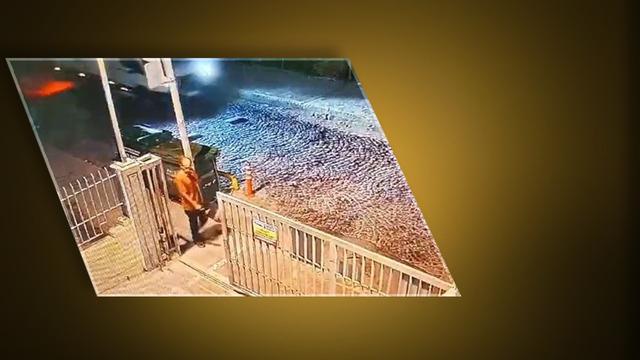 Köpek saldırısında hayatını kaybetmişti! Dehşetin izleri hastane raporuna yansıdı: Derin kesik izleri!