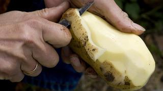 Kibrit patates tarifi: Kibrit patates nasıl yapılır?