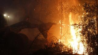Muğla'yı tütsü yaktı! Baba - oğulun ifadesi ortaya çıktı '1 litre su döktük'