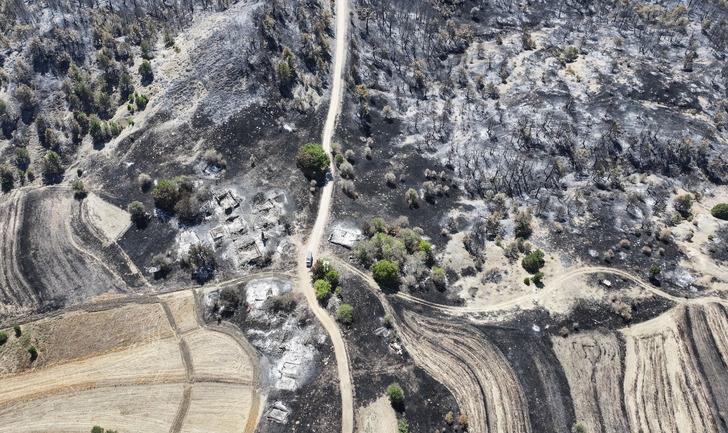 Ankara'da orman yangını! Bolu'ya da sıçradı, AFAD devreye girdi: 6 ilden destek istendi G3