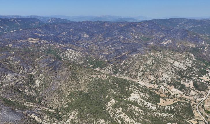 Ankara'da orman yangını! Bolu'ya da sıçradı, AFAD devreye girdi: 6 ilden destek istendi G4