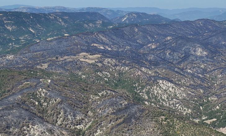 Ankara'da orman yangını! Bolu'ya da sıçradı, AFAD devreye girdi: 6 ilden destek istendi G5