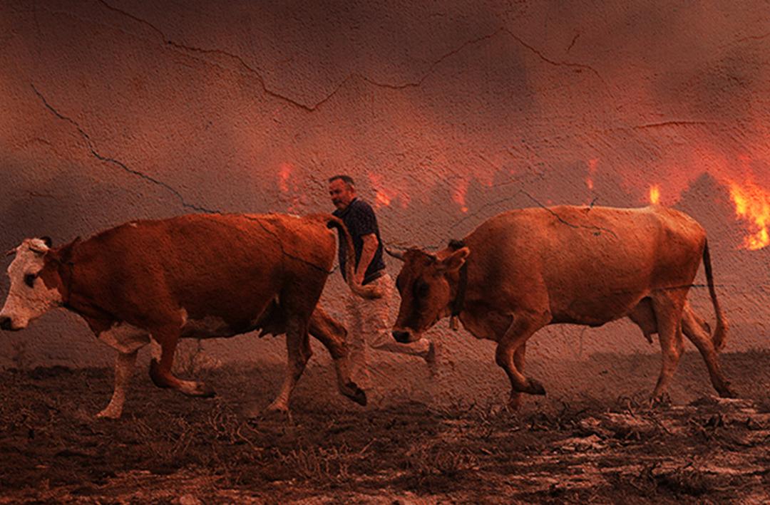 Ankara'da orman yangını! Bolu'ya da sı&ccedil;radı, AFAD devreye girdi: 6 ilden destek istendi