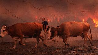 Ankara'da orman yangını! Bolu'ya da sıçradı, AFAD devreye girdi: 6 ilden destek istendi