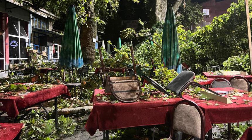 İzmir'de korkutan anlar! 600 yıllık çınar ağacının dalı kıraathanede oturanların üzerine devrildi: Yaralılar var