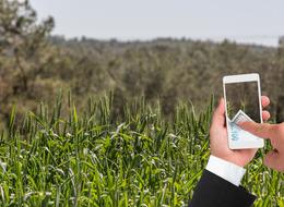 Tarım arazileri için karar! Resmi Gazete'de yayımlandı! Devlet, iki yıl üst üste ekilmeyen tarım arazilerini kiraya verecek