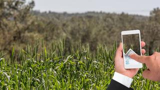 Tarım arazileri için karar! Resmi Gazete'de yayımlandı! Devlet, iki yıl üst üste ekilmeyen tarım arazilerini kiraya verecek