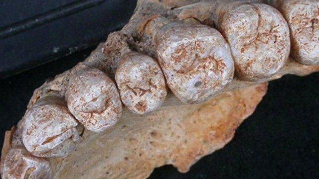 Tarih yeniden yazılıyor! İsrail topraklarında bulundu