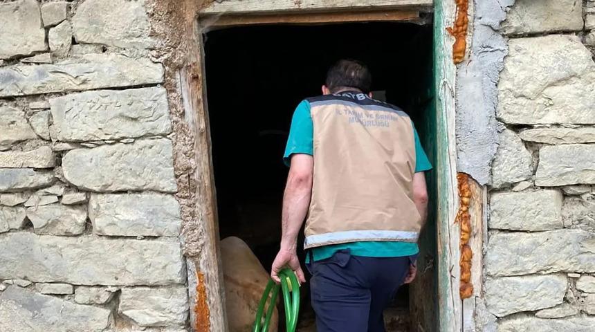 Tarlaya girdiler... Bir süre sonra şişmeye başladılar! Hemen müdahale ettiler ama...