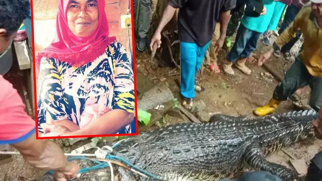 Korkunç anlar! Nehirde tabak temizlerken timsah saldırıp diri diri yedi... Ağzından çıkan bacaklarını gördüm