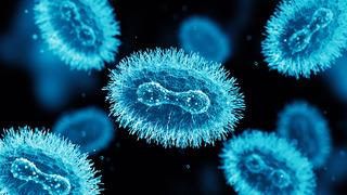 Maymun çiçeği nedir, belirtileri nelerdir? Maymun çiçeği virüsü nasıl bulaşıyor? Maymun çiçeği tedavisi