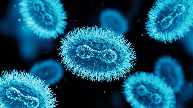 Maymun çiçeği nedir, belirtileri nelerdir? Maymun çiçeği virüsü nasıl bulaşıyor? Maymun çiçeği tedavisi