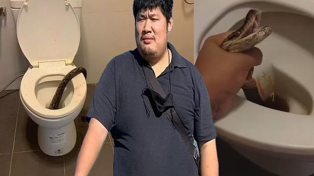 Tuvaletini yaparken pitonun saldırısına uğramıştı! Cinsel organını ısıran yılanı böyle yakalamış... Nasıl bir intikam aşkı?