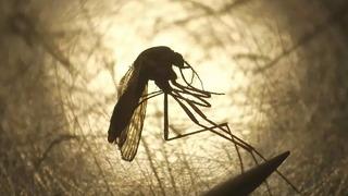 Maymun çiçeği virüsü beklerken o hastalık yeniden hortladı! Türkiye’de vakalar görülmeye başladı