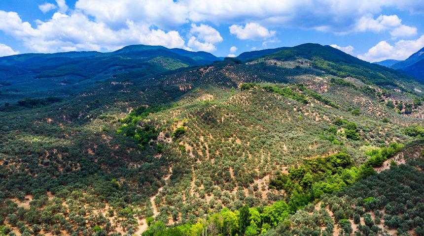 Kaz Dağları nerede? Kaz Dağları'na nasıl gidilir? Kaz Dağları yol tarifi
