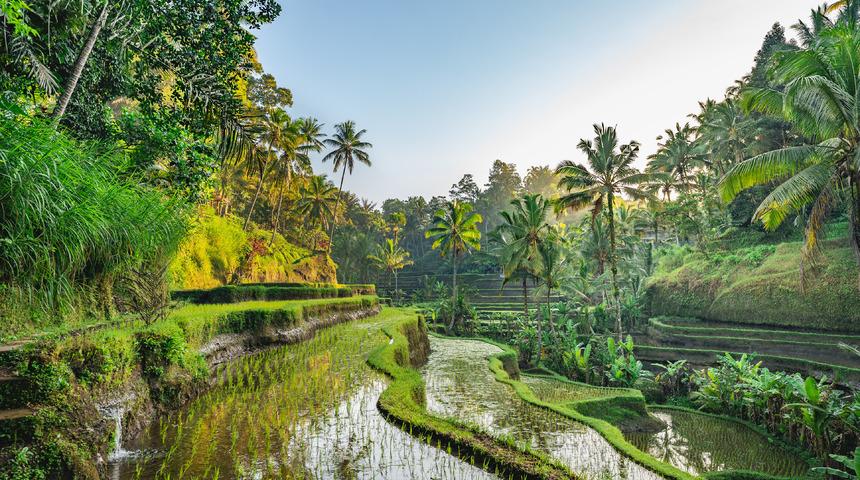 Bali nerede? Bali'ye nasıl gidilir?