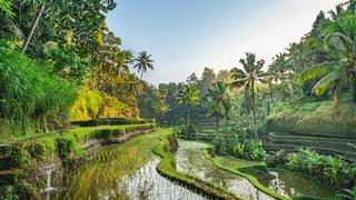 Bali nerede? Bali'ye nasıl gidilir?