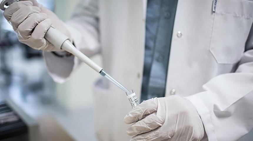 Maymun çiçeği ile ilgili merak edilen soruları İletişim Başkanlığı yanıtladı! Evcil hayvana bulaşır mı?