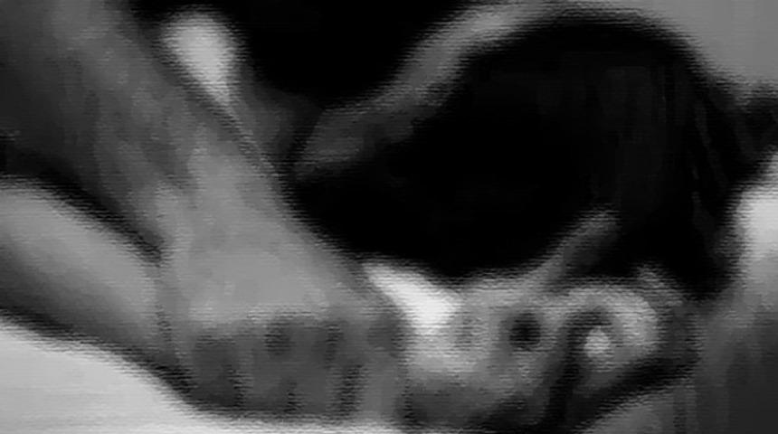 Sapık &ccedil;iftin yaptıkları kan dondurdu! 