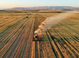 Çiftçiye müjde... Tarım Bakanı 'Hayırlı olsun' dedi! Resmi Gazete'de yayımlandı