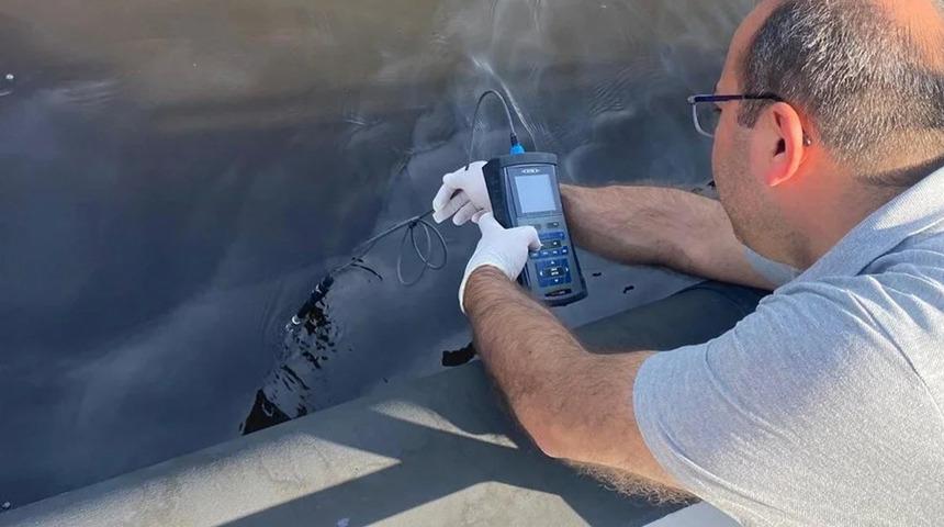 Bakanlık'tan İzmir Körfezi'ndeki balık ölümlerine ilişkin inceleme