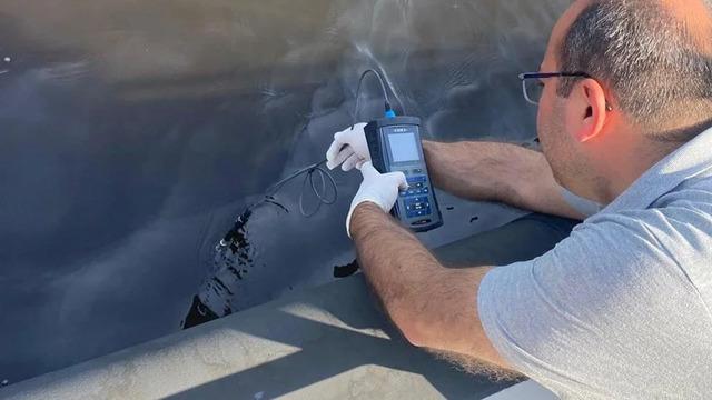 Bakanlık'tan İzmir Körfezi'ndeki balık ölümlerine ilişkin inceleme