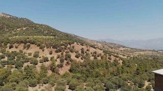 Aydın'da panik yaratan gizemli ses: Evler sarsıldı, deprem sanan da oldu! Sanki bir anda yerin altından bomba attılar