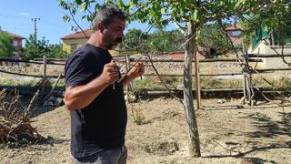 'Talep çok fazla' İlk kendi bahçesinde buldu, sonra 2 bin kişiye... Bakır çubuklarla arıyor! Şehir şehir dolaşıyor 'Yanılma payı yok'