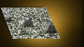 İstanbul'da tarihi görüntü! Sular çekilince ortaya çıktı... Saldırıya karşı önlem olarak hazırlanmış