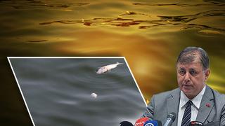 İzmirlilerin son günlerdeki en büyük şikayeti: Cemil Tugay'dan toplu balık ölümleri için açıklama geldi! Bizim denizlere ait değiller