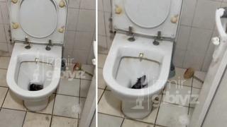 Yer: İzmir! Tuvaletini yapmak için klozetin kapağını açtığında karşısında fare gördü... Klozetten korkar olduk