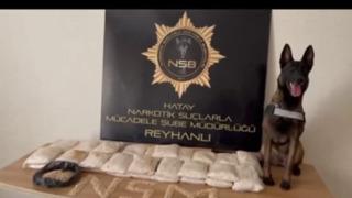 Ankara, İstanbul, İzmir... 49 ilde operasyon! 336 kişi yakalandı