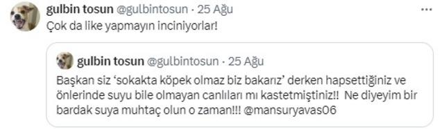 gülb,n manser