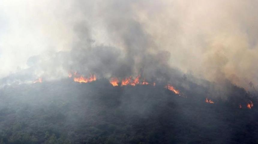 SON DAKİKA: Bursa'da orman yangını! Dumanlar ilçe merkezinde de görülüyor