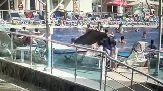 Otelde tatil yapıyordu! Havuz başında korkunç olay... Hayati tehlikesi var