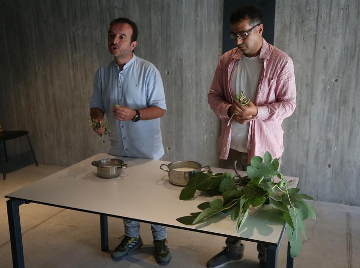 Homeros'un İlyada'sında 2 bin 750 yıllık Anadolu tarifi! 5 dakikada mayalanıyor 'Sihir gibi' Sindirimi kolay, kalorisi düşük G1