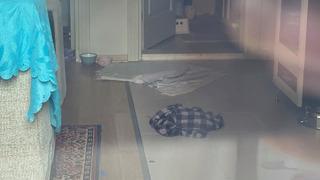 Bursa'da kan donduran olay! Babasını öldürüp annesini yaraladı