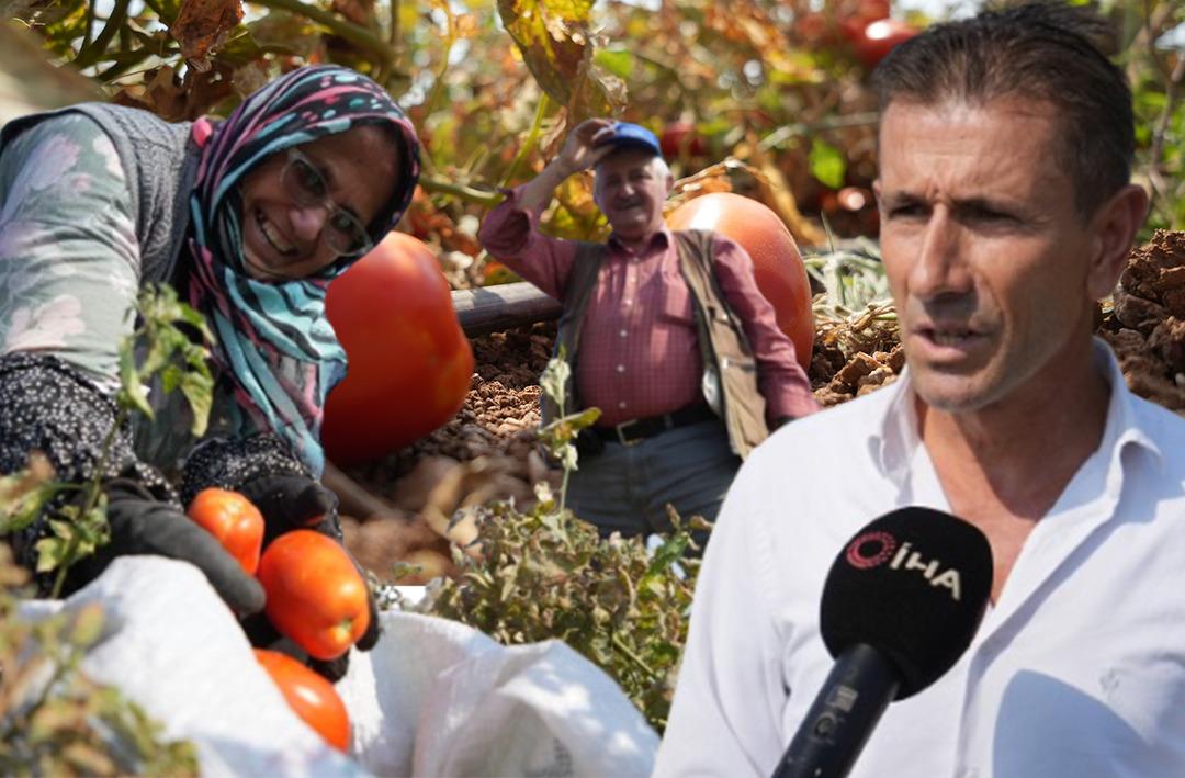 Tarlada 1 lira markette 38 lira olunca isyan edip bedava dağıttı! Gelen &ccedil;uval &ccedil;uval g&ouml;t&uuml;rd&uuml;: 600 bin lira zararım var