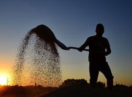 Tarım Bakanlığı açıkladı: "Mazot ve gübre desteği kalktı" haberlerine son noktayı koydu!