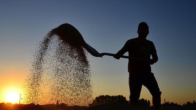 Tarım Bakanlığı açıkladı: Mazot ve gübre desteği kalktı haberlerine son noktayı koydu!