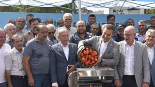 Belediye makineleri dağıttı... Domatesi tarladan satmak yerine salça yapıp satacaklar