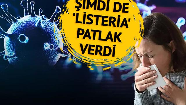 Maymun Çiçeği konuşulurken şimdi de listeria virüsü çıktı! ABD'de 9 kişi hayatını kaybetti, vaka sayısı artıyor