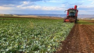 Tarım Bakanlığı çiftçiye olan desteğini artırdı... Üretimde kaliteyi önem çıkarana kalem kalem zam yapıldı 