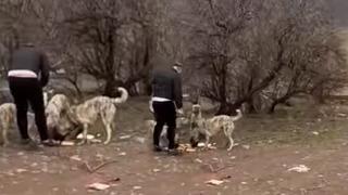 Ankara Büyükşehir ve Sincan Belediye meclis üyesinden örnek davranış!