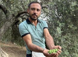 Günlük 1000 TL kazanıyorlar! Kilosu 70 TL... 'Bu yıl çok iyi, çok memnunuz'