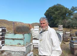 'Memurluğu bıraktım, severek yapıyordum ama ben de tükendim' Fiyatı normalden daha ucuz! 'Zehir satıyorlar' 