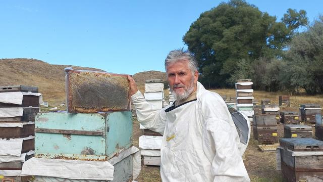 'Memurluğu bıraktım, severek yapıyordum ama ben de tükendim' Fiyatı normalden daha ucuz! 'Zehir satıyorlar' 