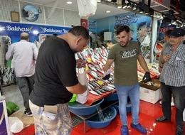 Av sezonu açıldı, İstanbul'da balıklar tezgahlardaki yerini aldı! Palamut 200 liradan, istavrit kilosu 350 liradan satılıyor