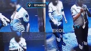 Kan donduran görüntü! Güvenlik görevlisi dakikalarca kediye işkence uyguladı ve öldürdü