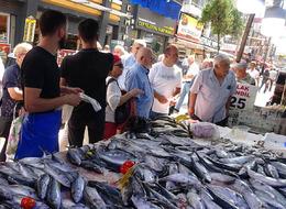 Balık etiketleri değişti! Palamut bolluğundan fiyatlar 50 liraya kadar düştü! 